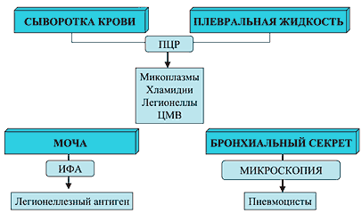 D:\Desktop\Новая папка 2 7 ГБ\Выписка 2023г\СКАНЫ для сертификата\p2942.gif