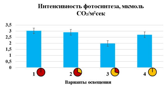 Интенсивность фотосинтеза томата сорта «Микро Том» на 55-й день от всходов