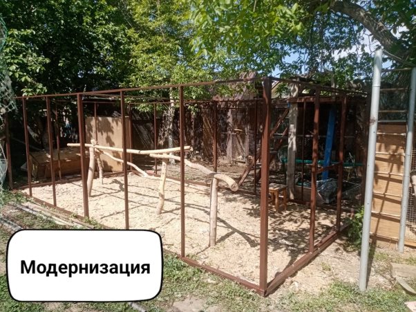 модерниз.jpg