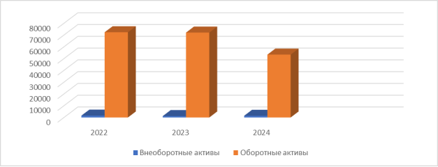 Динамика состава и структура актива баланса предприятия ООО «Маркет-М» за 2022–2024 год