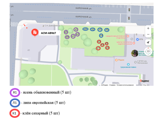 Схема участка № 2 отбора проб для оценки пылезащитных свойств посадок вблизи дорог