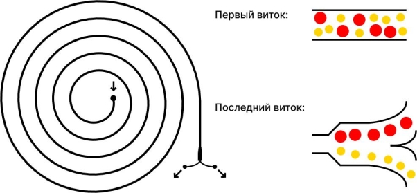 Распределение частиц разного размера в каналах инерционной системы [2]