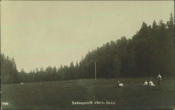 Вайварский лес. Вайвара, Эстляндская губерния Российской империи. Фотопечать А. И. Центер (г. Санкт-Петербург). Источник: Гос. музей истории Санкт-Петербурга. Номер в Госкаталоге: 38815622. Номер по КП (ГИК): ГМИ СПб 363390/23