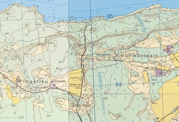 Гора (холм) Тамби (эст. — Tambi mägi) и поле Тамби (Tambi väli) на фрагменте эстонской карты 1994–2020 гг. Источник: Eesti Maa-amet