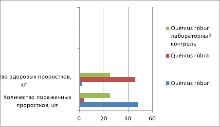 Пораженность проростков Quércus róbur и Quércus rúbra мучнисторосяными грибами Erysipha alphitoides