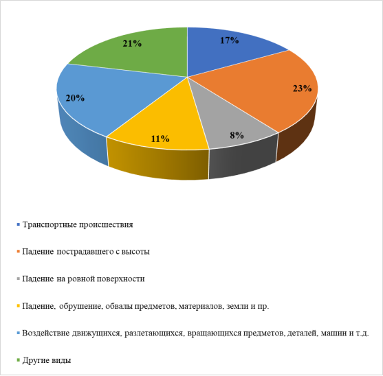 Виды происшествий с тяжелыми последствиями в РФ (по данным Роструда, 2024 г.)