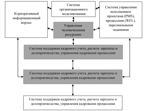 Управление человеческими ресурсами в контуре информационных систем [8, с. 111]