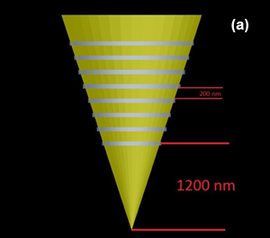 tapered gold tip2.jpg