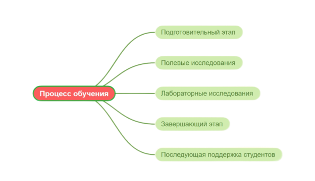Схема пошагового освоения компетенций