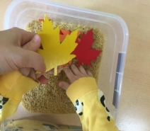 C:\Users\Aleksey\Desktop\фото для презентации\IMG_5580.JPG