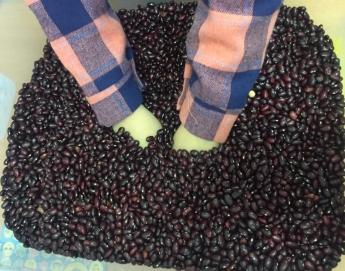 C:\Users\Aleksey\Desktop\фото для презентации\IMG_3779.JPG