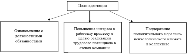 Роль адаптации в системе управления персоналом