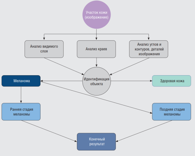 Принцип работы обученных систем распознавания искусственного интеллекта по заданному алгоритму