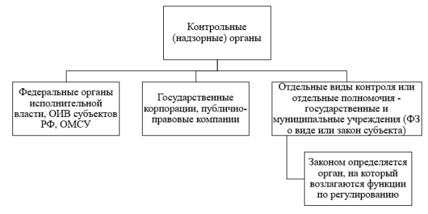 Контрольные органы РФ