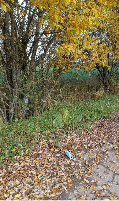 «Мусор в голове — мусор на земле» (фото: Маргарита Григорьева)