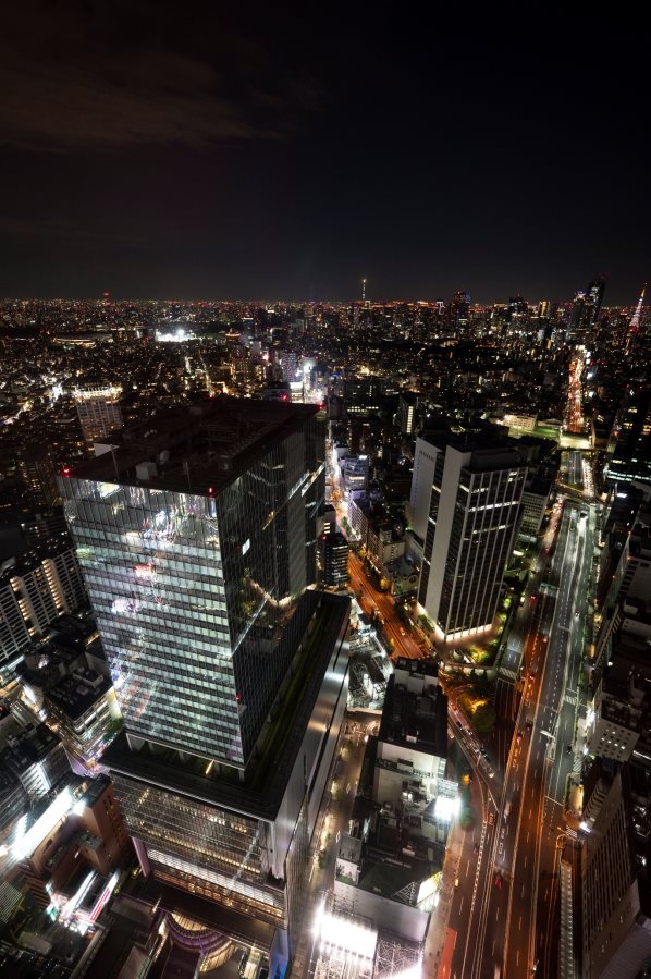 Фото: разработано Freepic (https://ru.freepic.com)