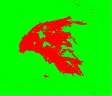 Карта выгоревших территорий Каркаралинского района, определенных в среде QGIS на основе алгоритма Random Forest