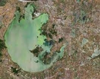 Цветение зеленой микроводоросли Chlorella в озере Тайху