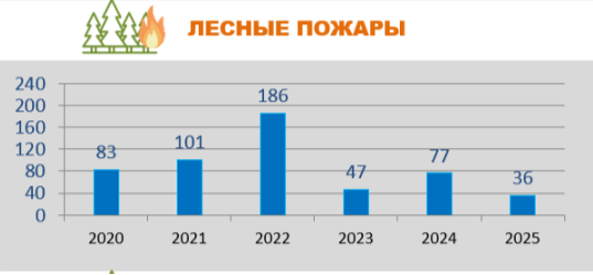 Распределение случаев возникновения лесных пожаров во Владимирской области с 2020 по 2025 год