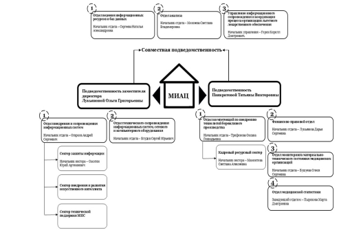 Организационная структура ГБУ РО «Медицинский информационно-аналитический центр»