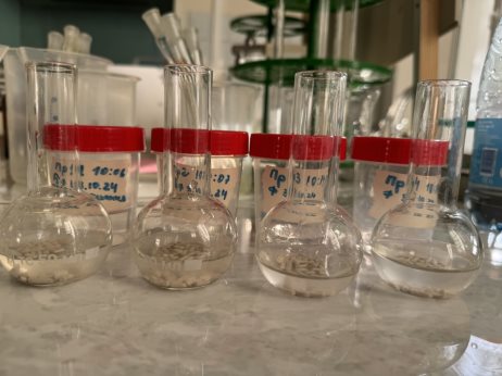 Процесс хемосорбции на цеолитах