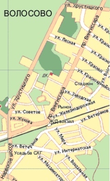 Проспект Вингиссара на фрагменте современной карты города Волосово. Источник: карта из архива С. А. Тамби