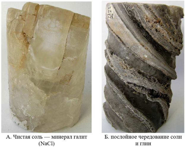 Образцы каменной соли месторождения Яр-Бишкадк (Керн скважин)