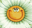 http://matizclub.net/uploads/av-54717.gif