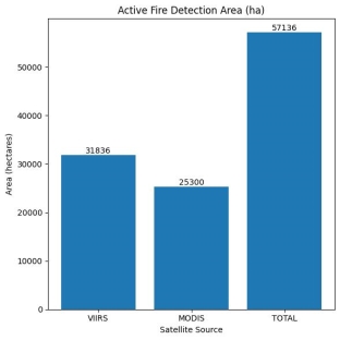 Районы горения, выявленные спутниками MODIS и VIIRS по пожару в Каркаралинско-Баянаульской зоне в октябре 2024 года