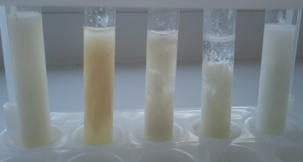 Коагуляция белков в различных видах сырья