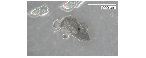 Образец фрагмента МП