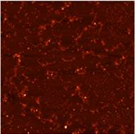 512_0T_100x100h