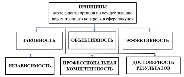 Принципы деятельности органов по осуществлению ведомственного контроля в сфере закупок
