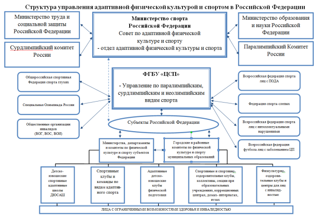 Модель управления адаптивной физической культурой и спортом в России