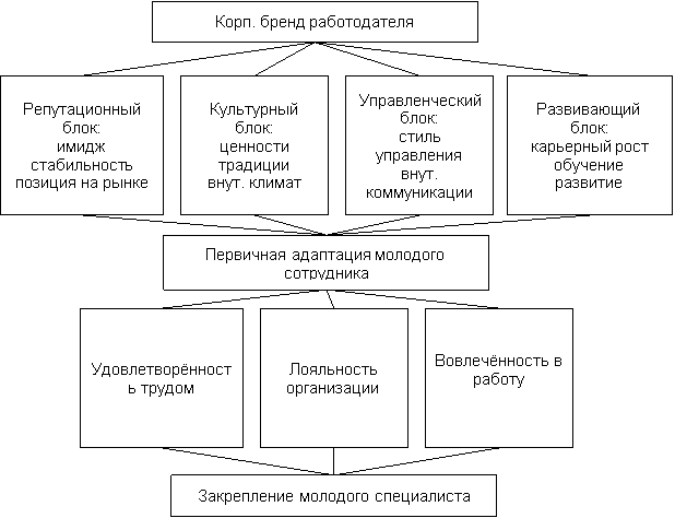 Модель влияния корпоративного бренда работодателя на закрепление молодых специалистов