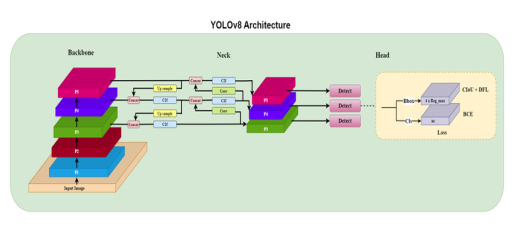 Общая архитектура YOLOv8 [4, с. 3]