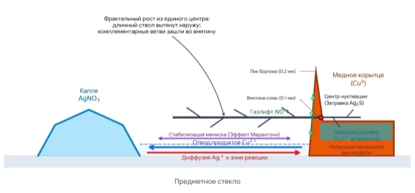Кинематика встречных диффузных потоков и геометрия DLA-роста