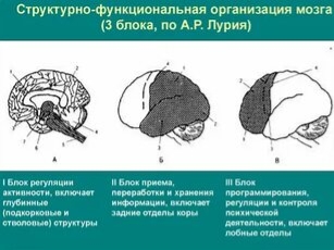 Фото взято с сайта studfile.net