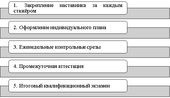 Механизм реализации наставничества в подразделениях МЧС России