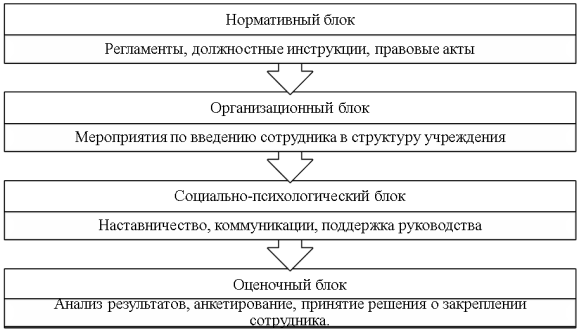 Организационно-функциональная модель адаптации персонала в муниципальном учреждении