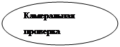 Овал: Камеральная проверка