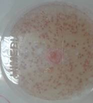 20131206_130925.jpg