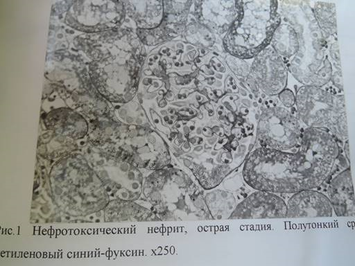 Описание: C:\Documents and Settings\t\Рабочий стол\cond\Новая папка\1.jpg
