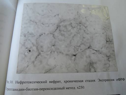 Описание: C:\Documents and Settings\t\Рабочий стол\cond\Новая папка\2.jpg