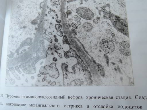 Описание: C:\Documents and Settings\t\Рабочий стол\cond\Новая папка\3.jpg