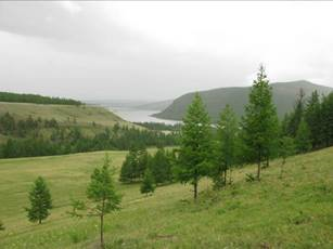 Usariin am