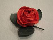Описание: C:\Users\Dimin\Desktop\ORI\Kawasaki-Rose.png