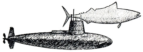 Рис. 6. Американская подводная лодка 'Скипджек'. Форма корпуса подводной лодки точно такая же, как и у быстроходной рыбы тунца