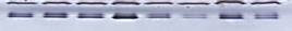 Описание: C:\Documents and Settings\ГМО\Рабочий стол\форез\пшеница 001.jpg
