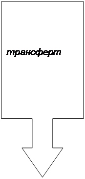 Выноска со стрелкой вниз: трансферт
